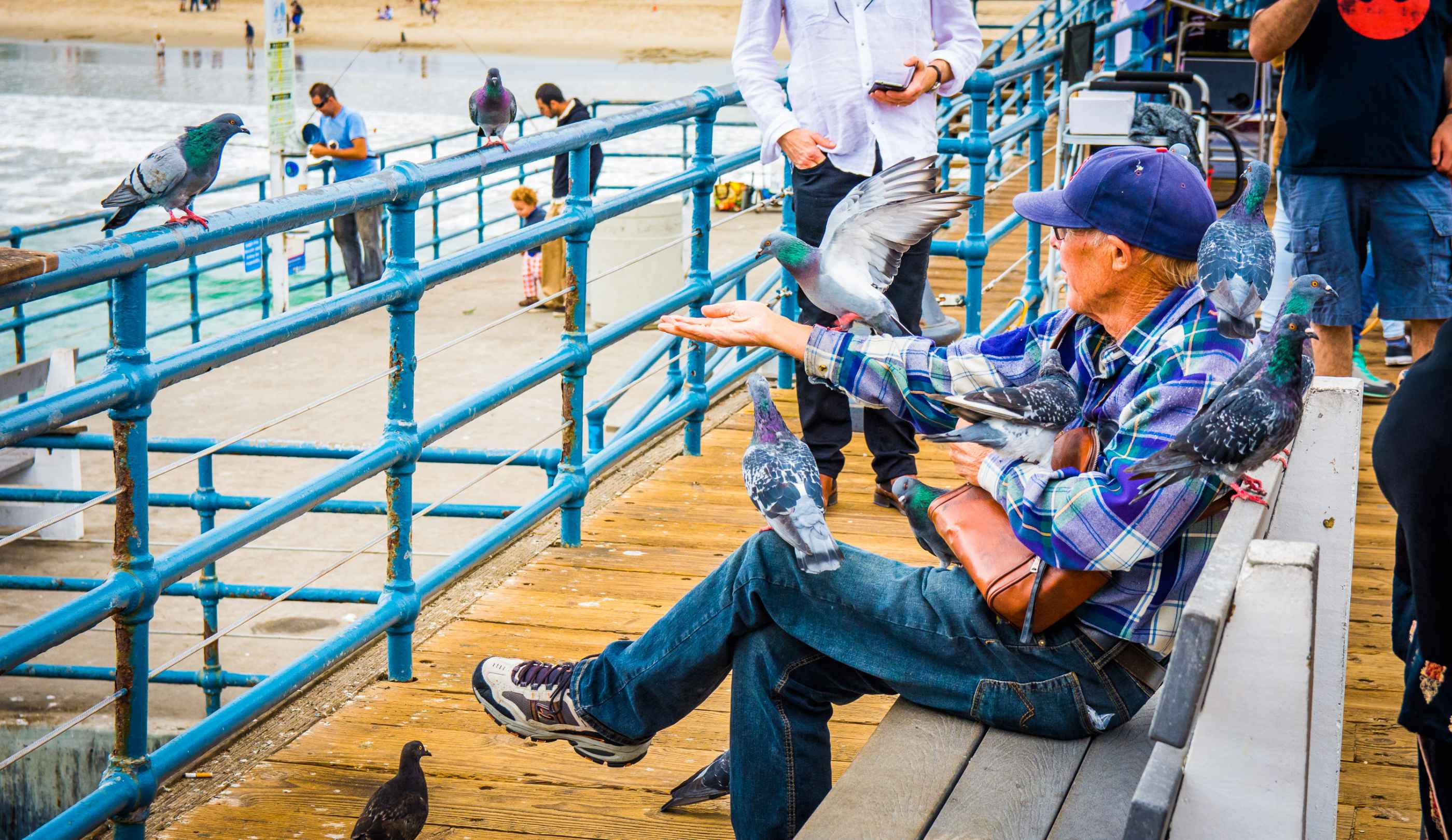 Un papi donne à manger aux pigeons de Venice Beach