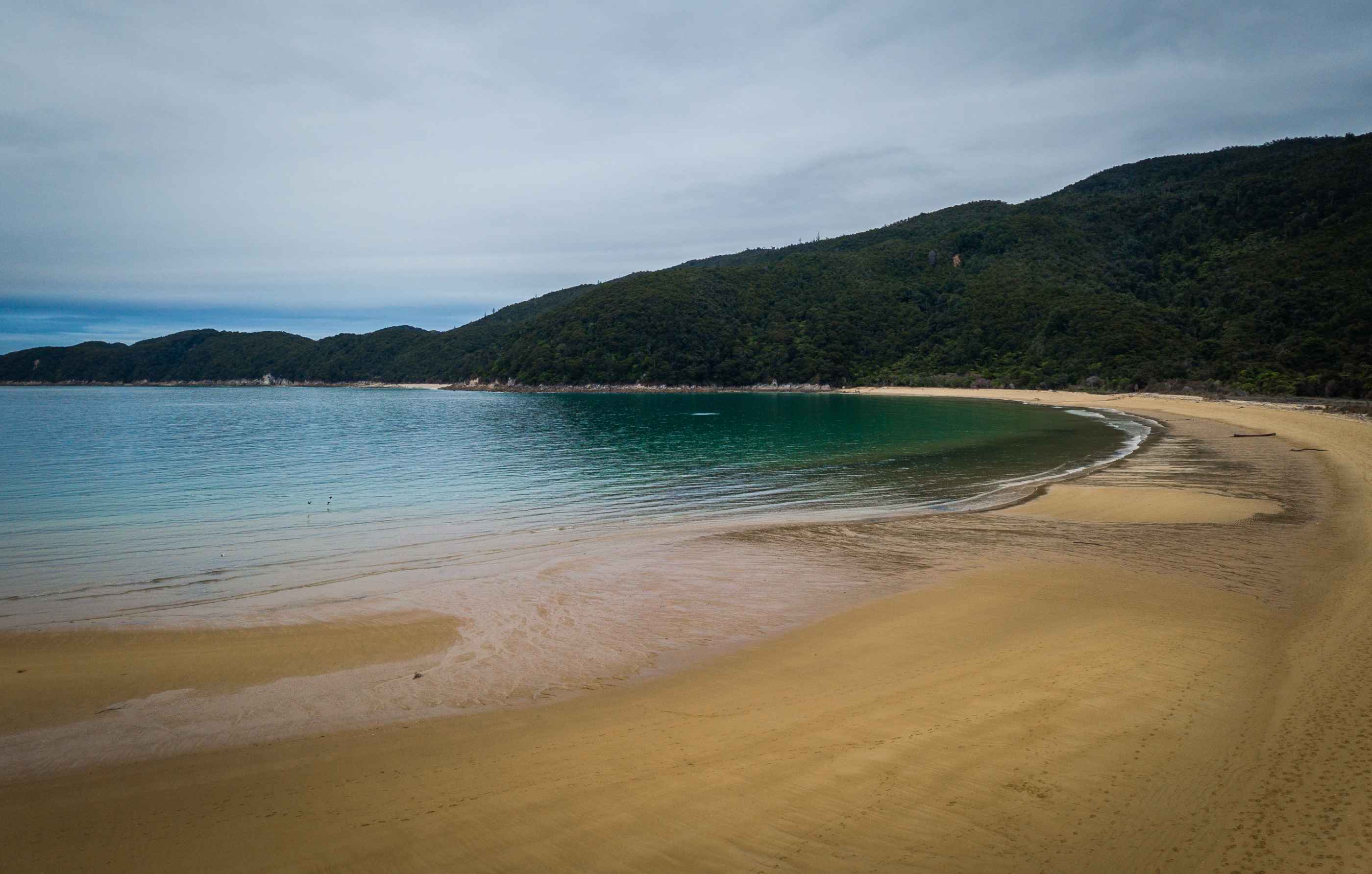 Une des magnifiques plages sauvages à traverser durant la randonnée d'Abel Tasman Coast Track