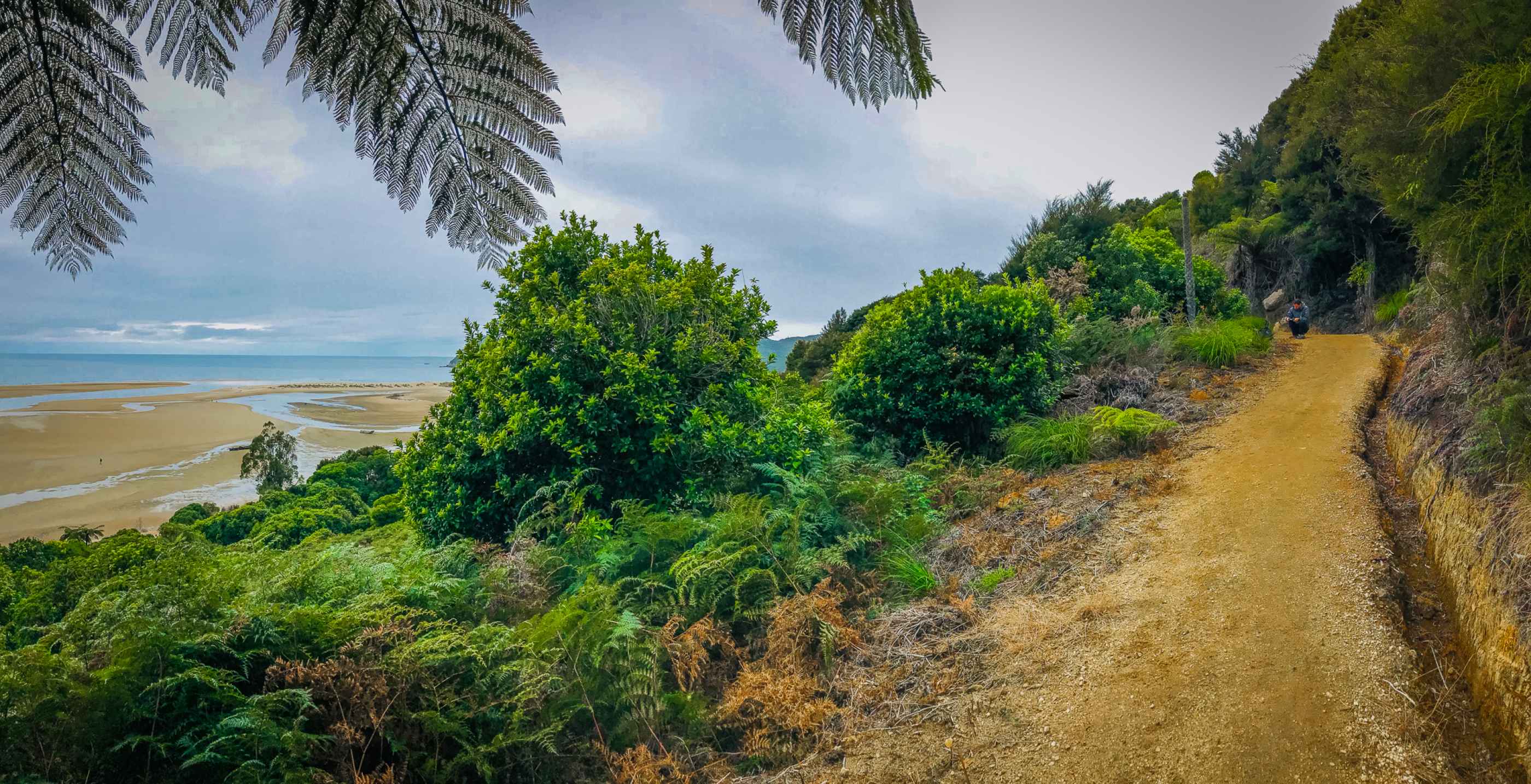 Le genre de chemin qu'on emprunte le long de l'Abel Tasman Coast Track