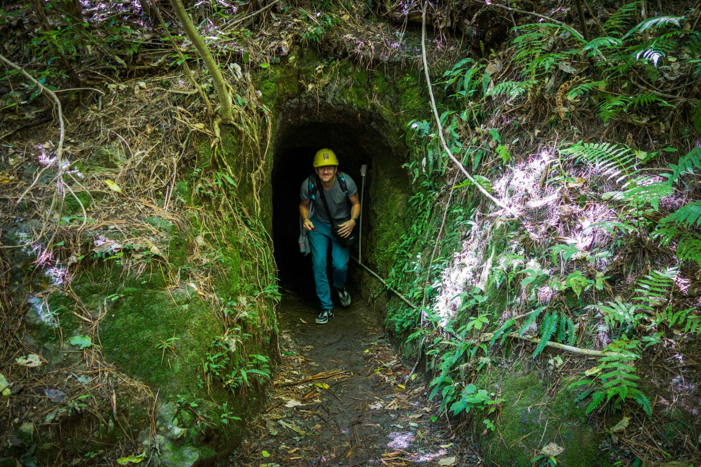 Un des spots à ne pas manquer à Zealandia : la cave à Wetas !