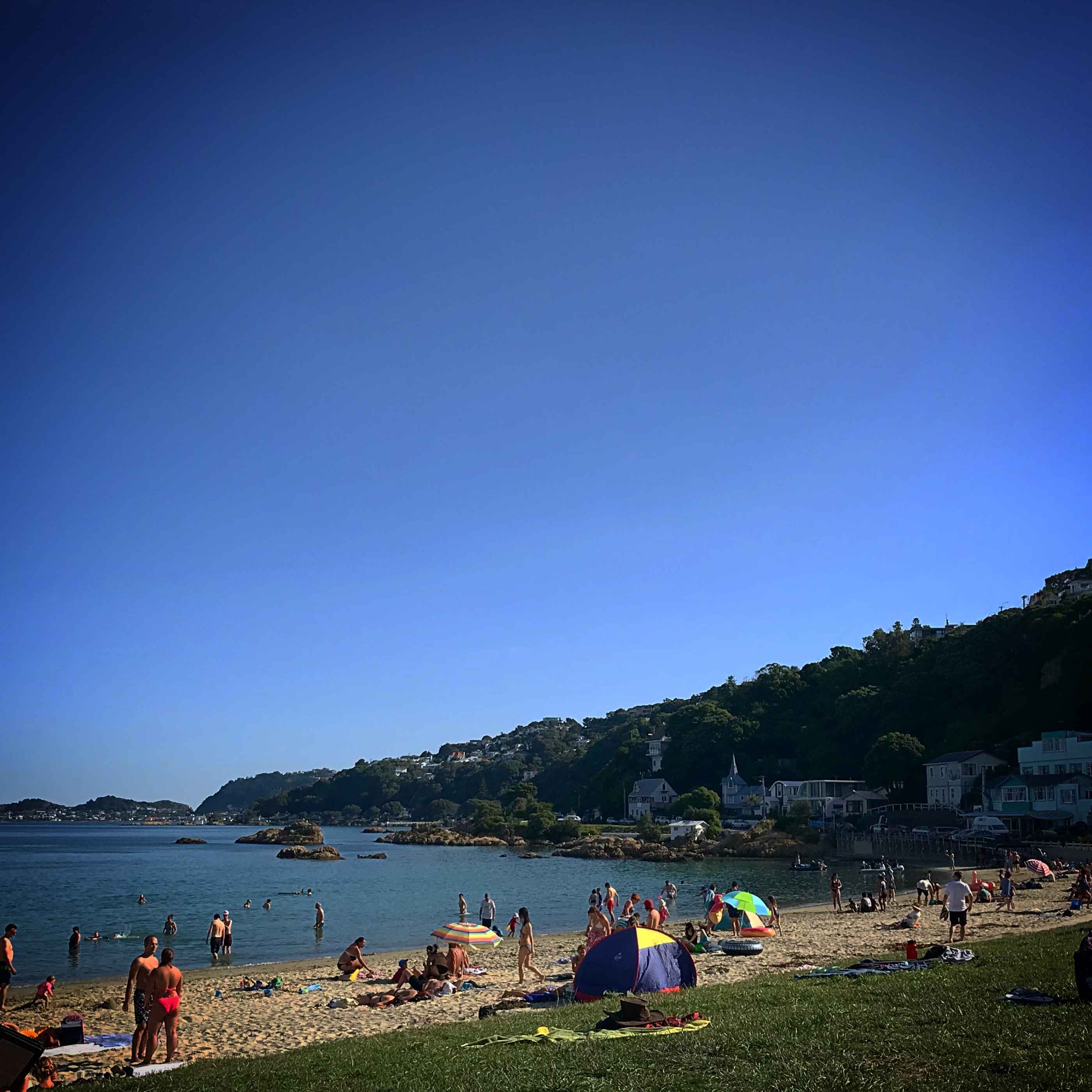 La plage de Scorching Bay, à l'Est de Wellington sur la péninsule de Miramar. C'était le paradis avec un sammies au Chocolate Fish