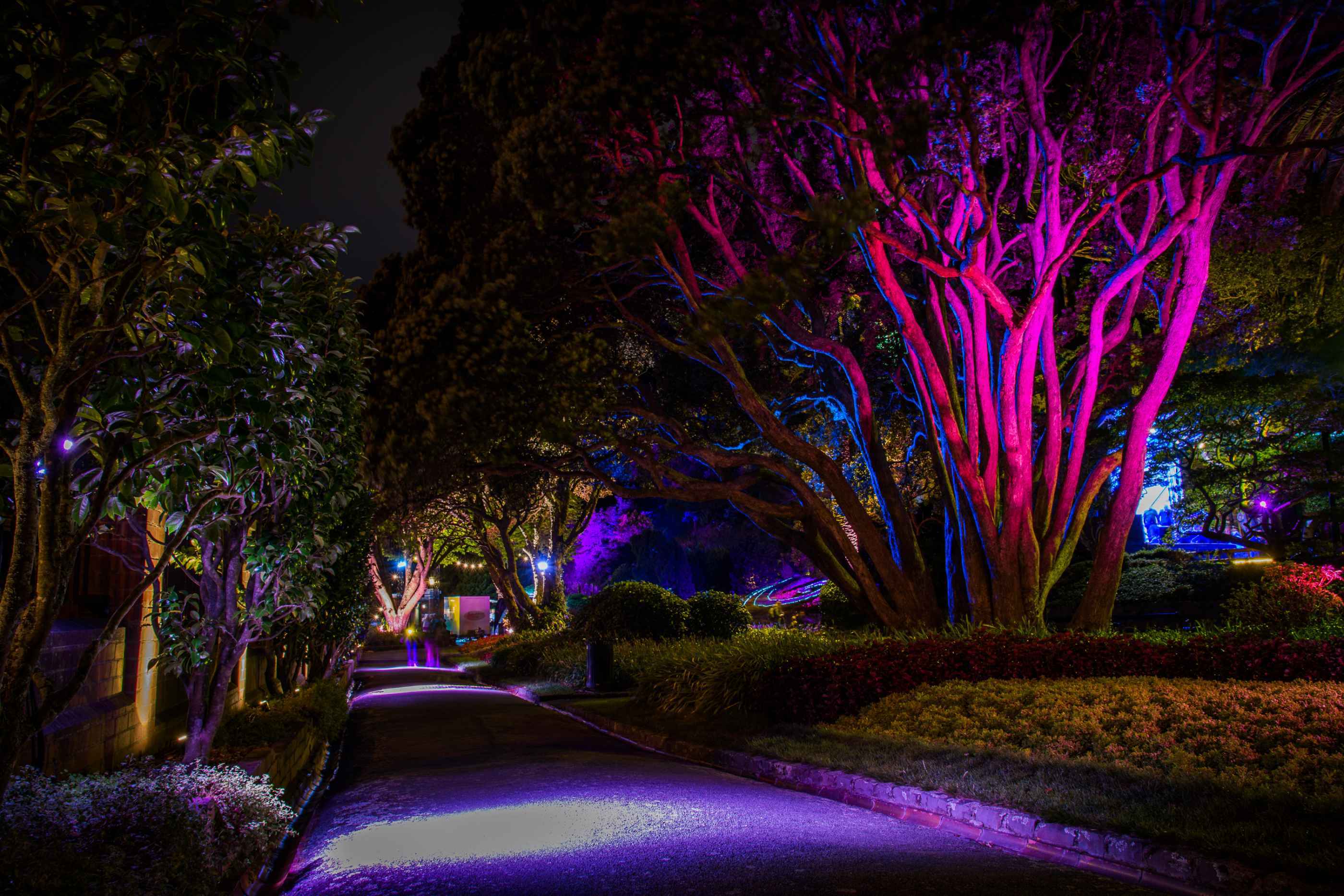 Wellington illuminée le soir lors de l'événements Garden Magic