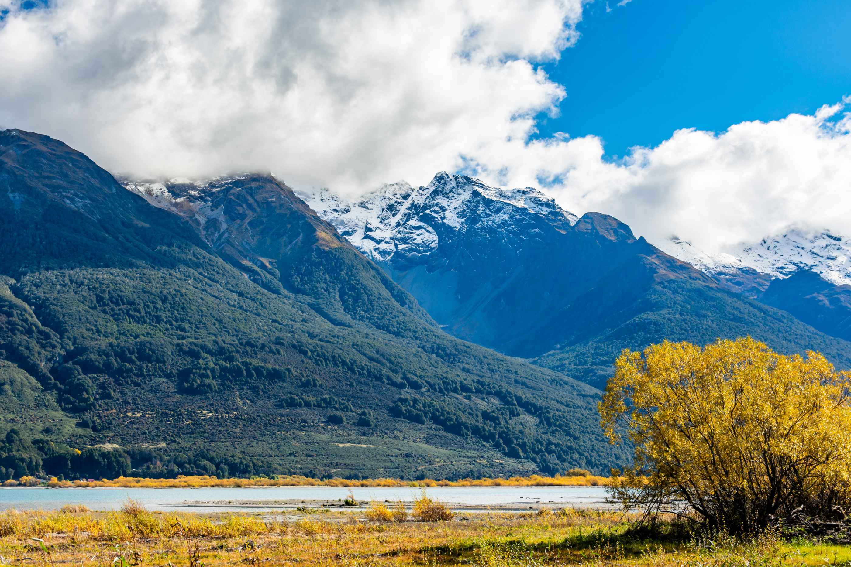 Sur la route pour se rendre au départ de la Routeburn Track.