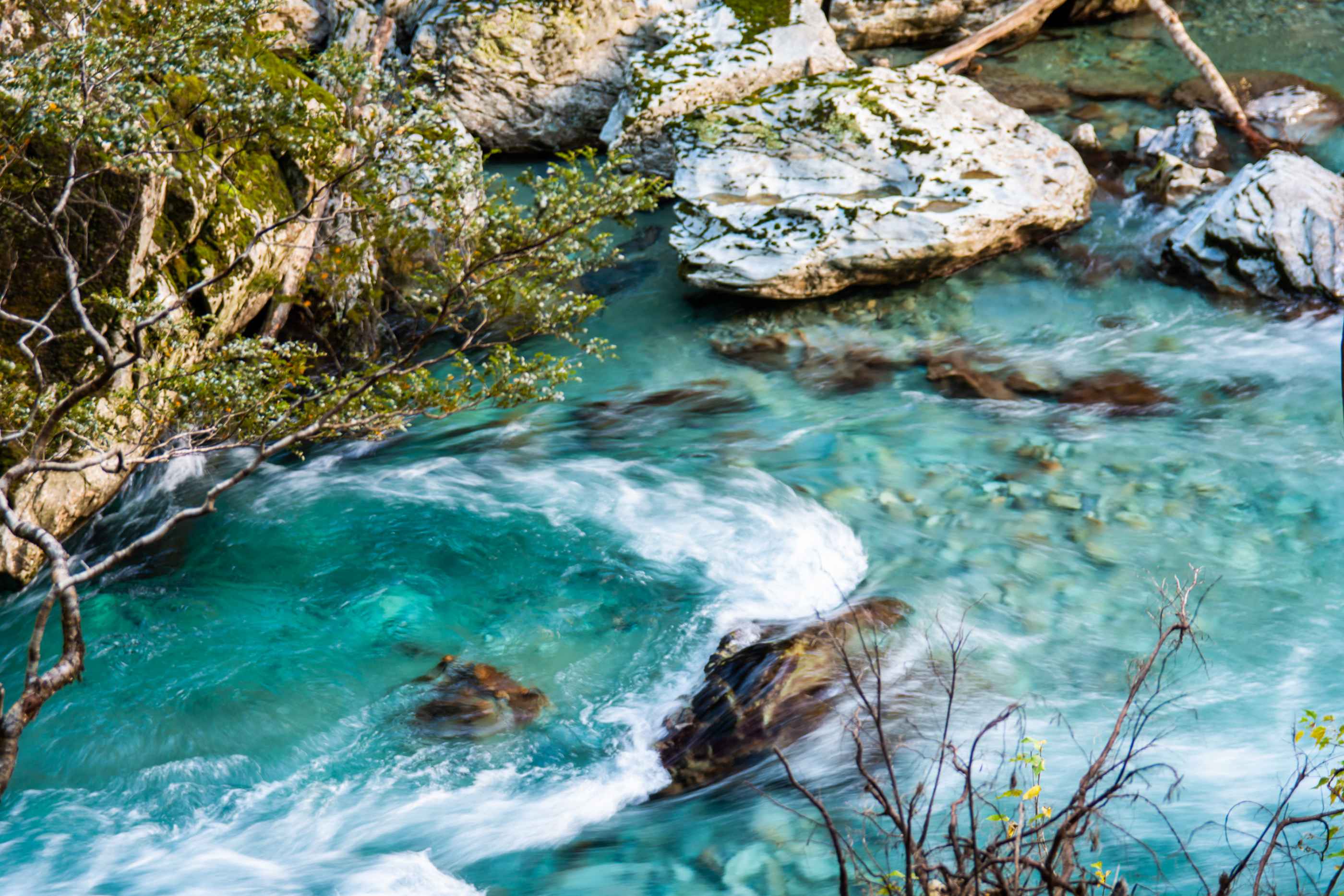 Une rivière qui longe le début de la Routeburn track.