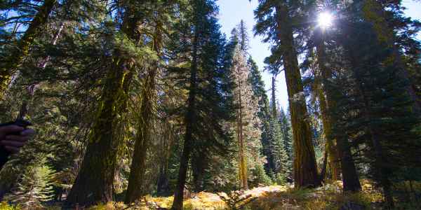 Bivouac sur la Pohono Trail