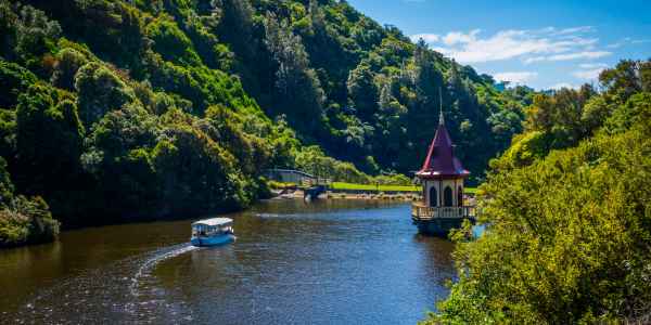 Wellington : Zealandia, la pleine nature au cœur de la ville